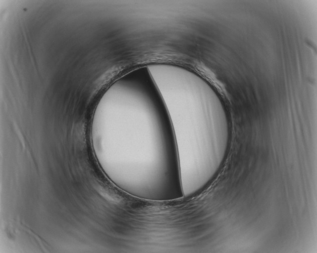 X0000099430250200805090733