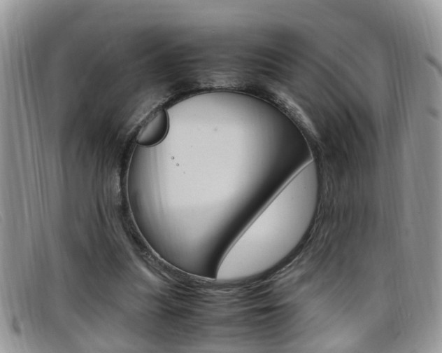 X0000099430251200805090733