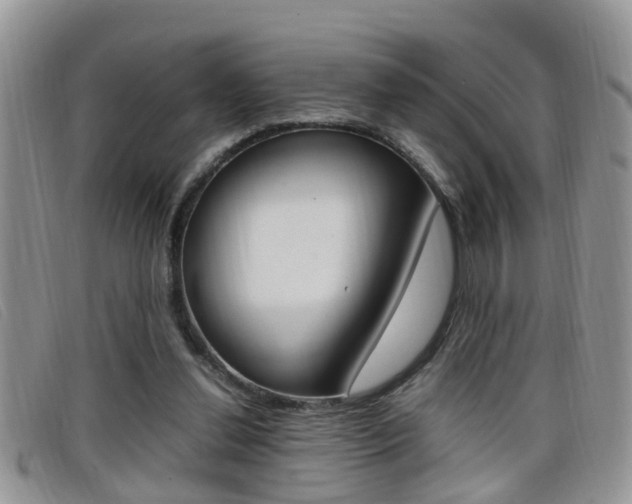X0000099430252200805090733