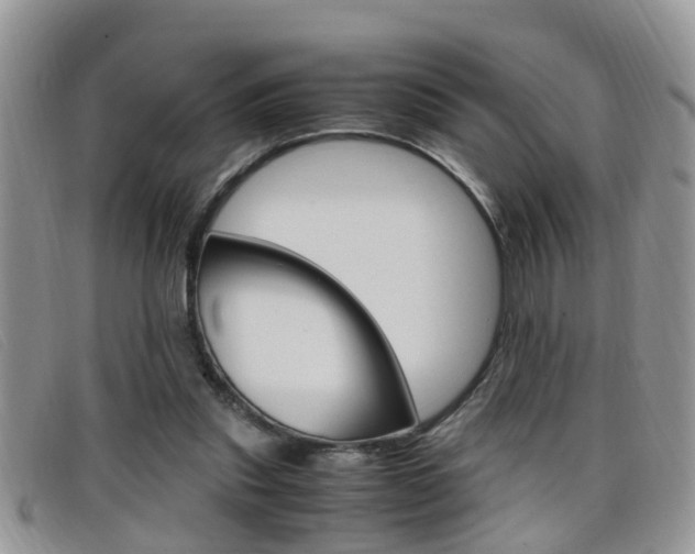 X0000099430253200805090733