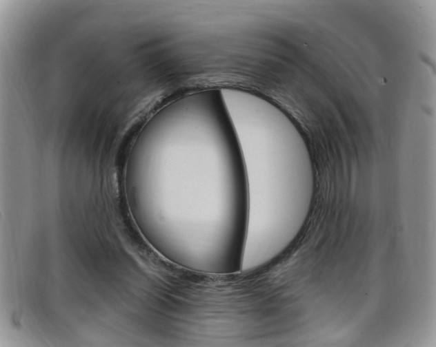 X0000099430254200805090733