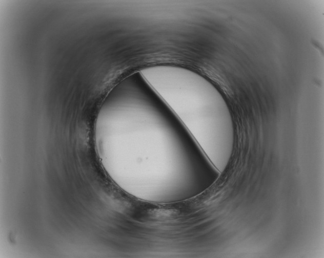X0000099430255200805090733