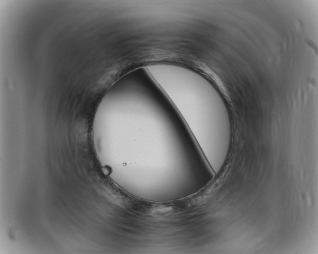 X0000099430257200805090733