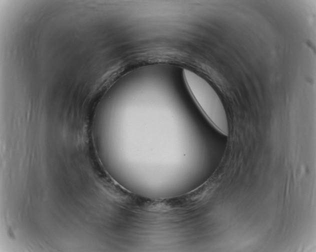 X0000099430258200805090733