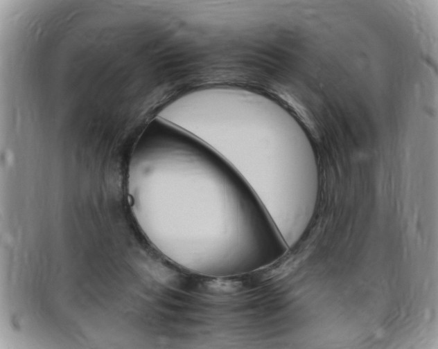 X0000099430261200805090733