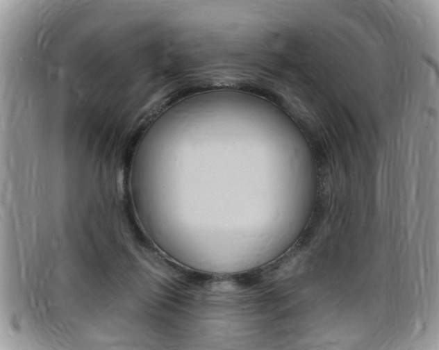 X0000099430262200805090733