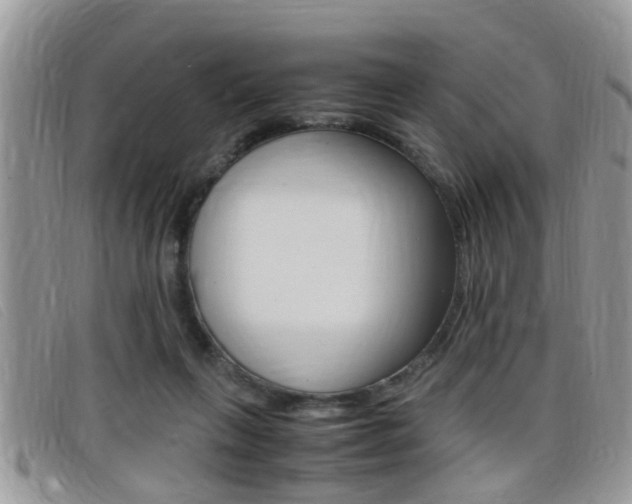 X0000099430263200805090733