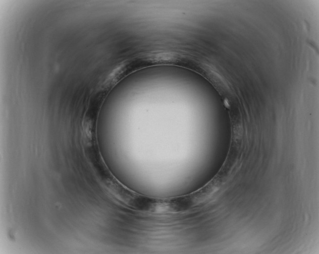 X0000099430264200805090733