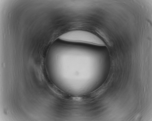 X0000099430265200805090733
