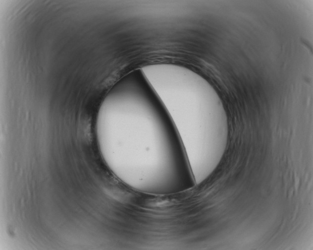 X0000099430267200805090733