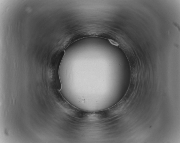 X0000099430268200805090733