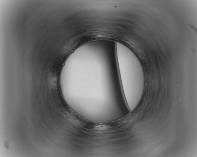 X0000099430269200805090733