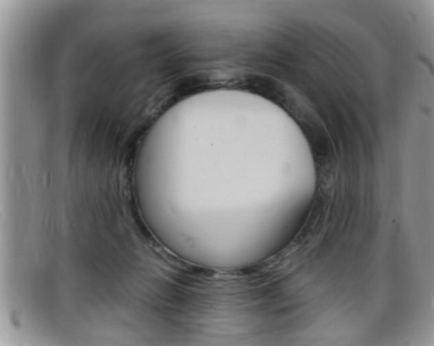 X0000099430270200805090733