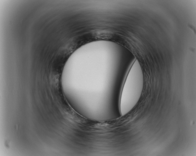 X0000099430271200805090733