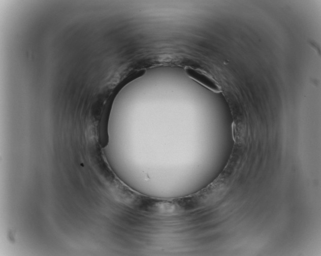 X0000099430272200805090733