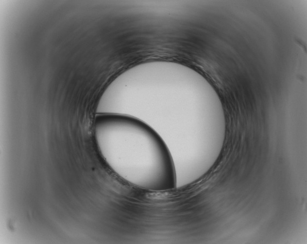 X0000099430273200805090733