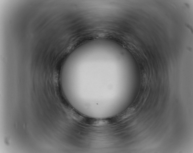X0000099430274200805090733