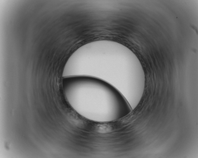 X0000099430275200805090733