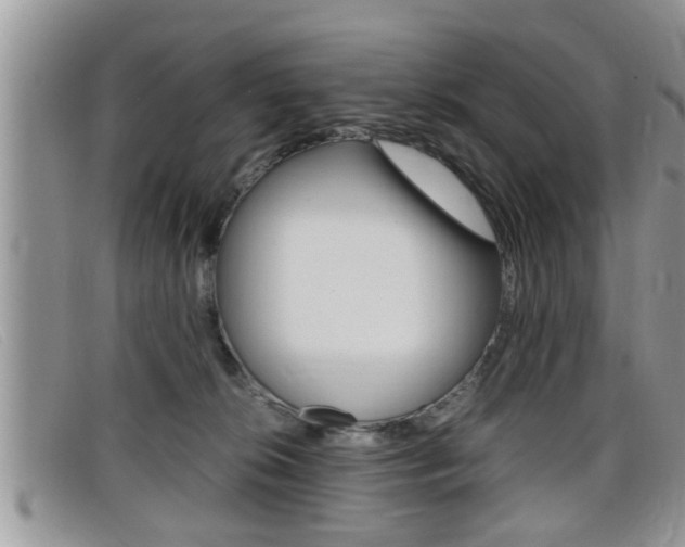 X0000099430276200805090733