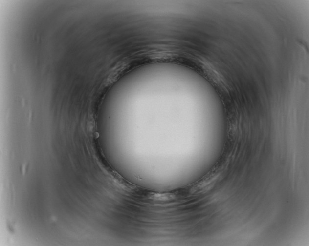X0000099430277200805090733