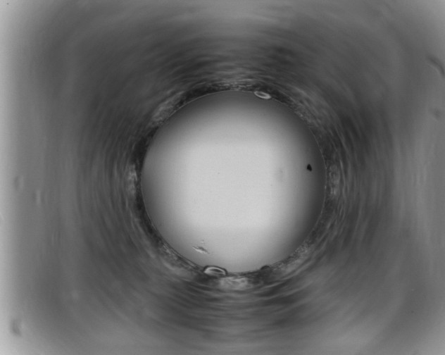X0000099430279200805090733