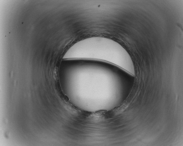 X0000099430280200805090733
