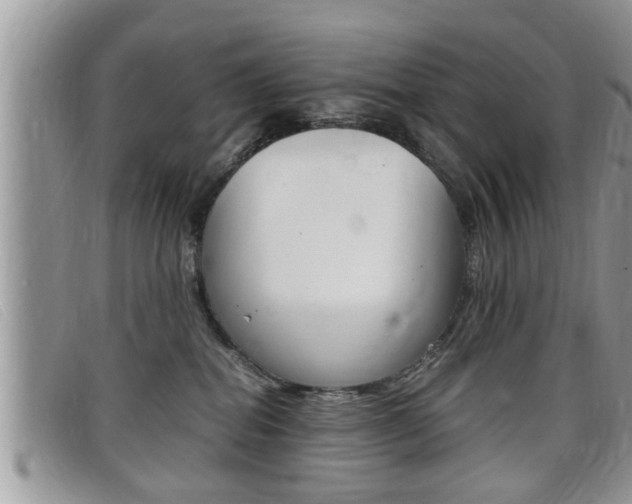 X0000099430282200805090733