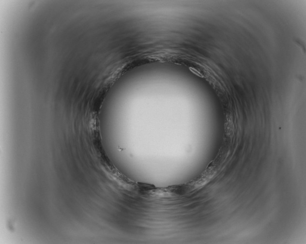 X0000099430284200805090733