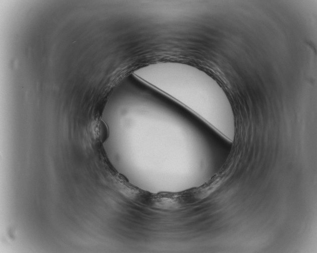 X0000099430285200805090733