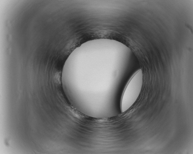X0000099430286200805090733