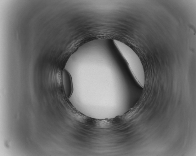 X0000099430287200805090733