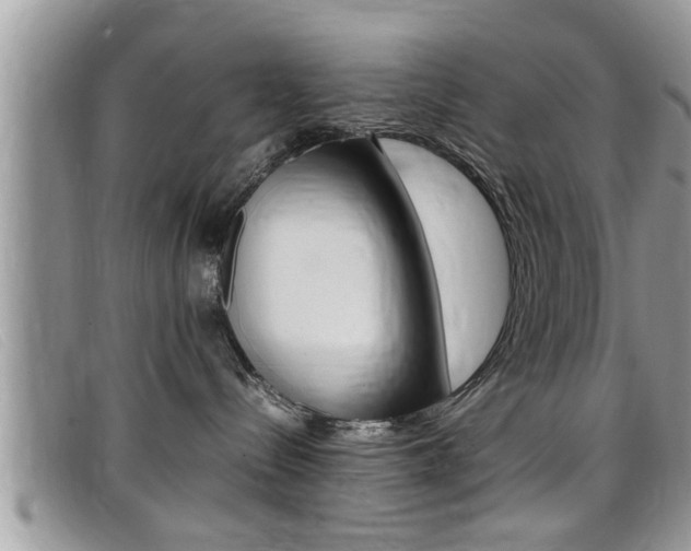 X0000099430288200805090733