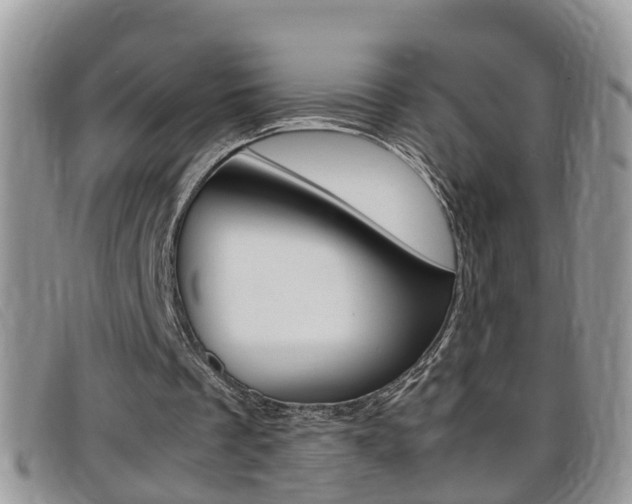 X0000099430289200805090732