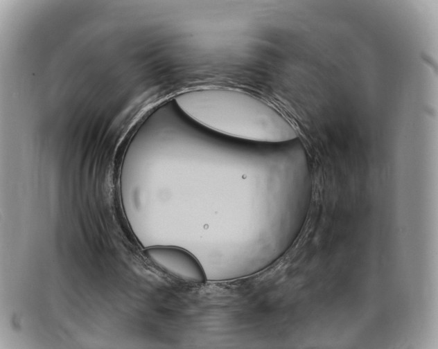 X0000099430290200805090732