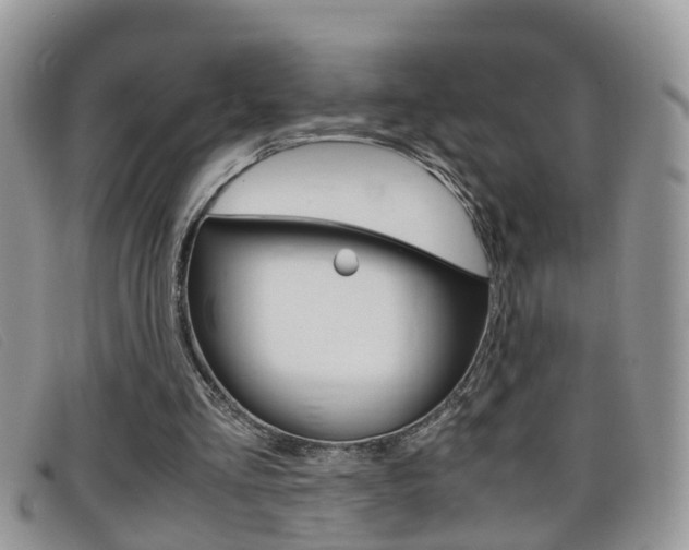 X0000099430293200805090732