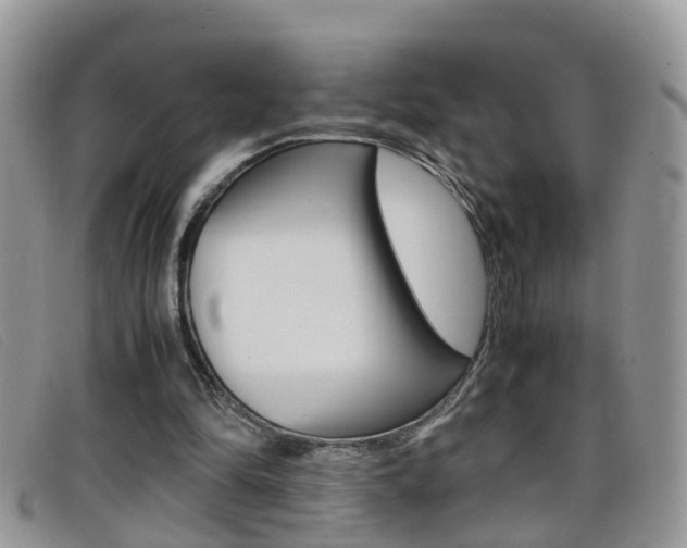 X0000099430294200805090732