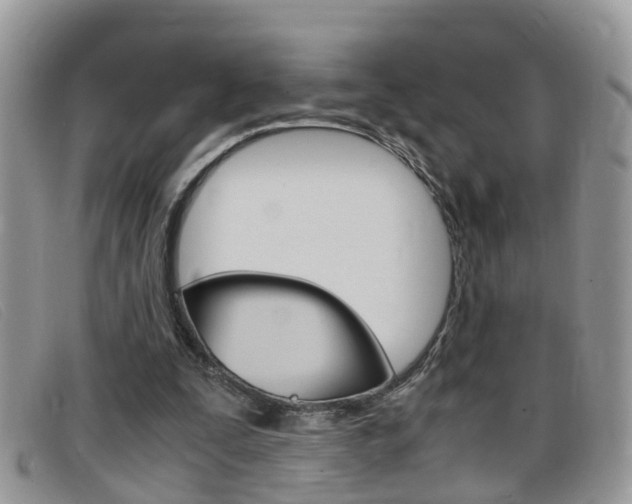 X0000099430295200805090732