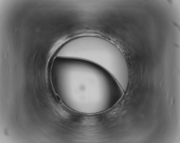 X0000099430296200805090732
