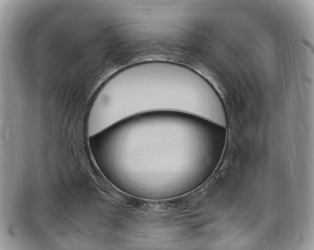 X0000099430297200805090732