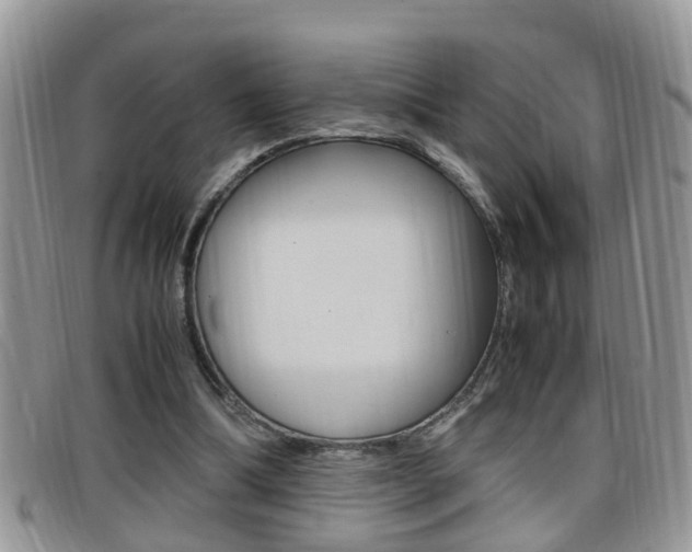 X0000099430298200805090732