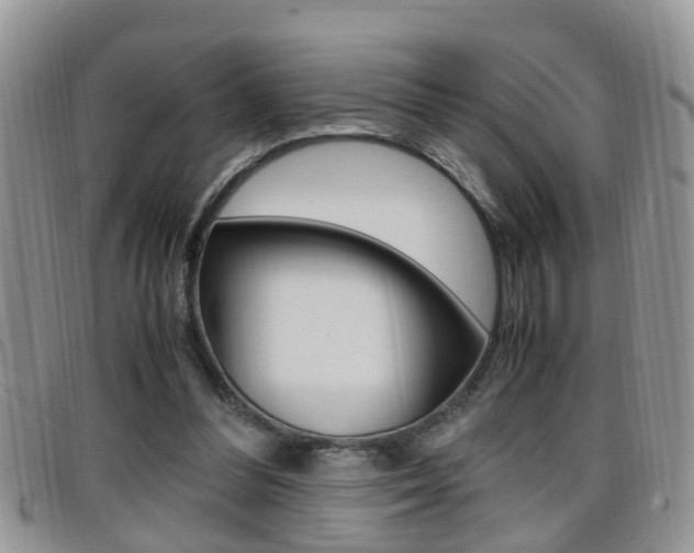 X0000099430300200805090732