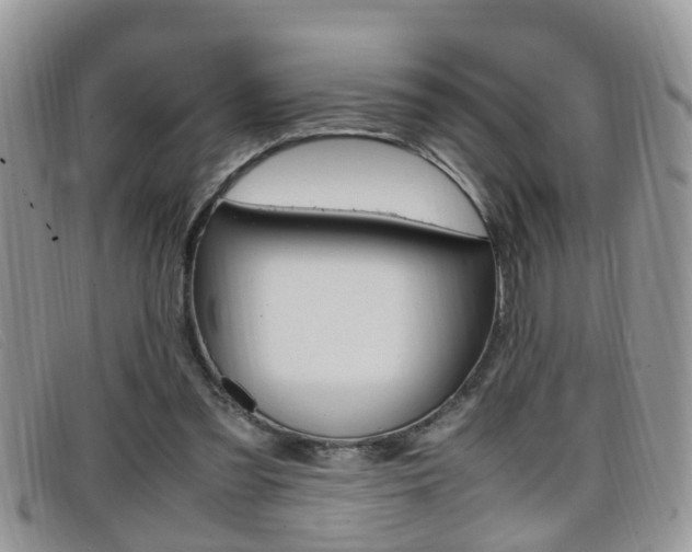 X0000099430301200805090732