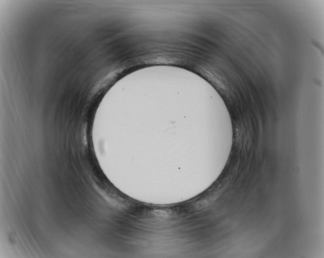 X0000099430302200805090732