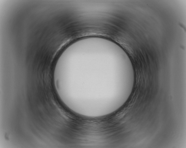 X0000099430304200805090732