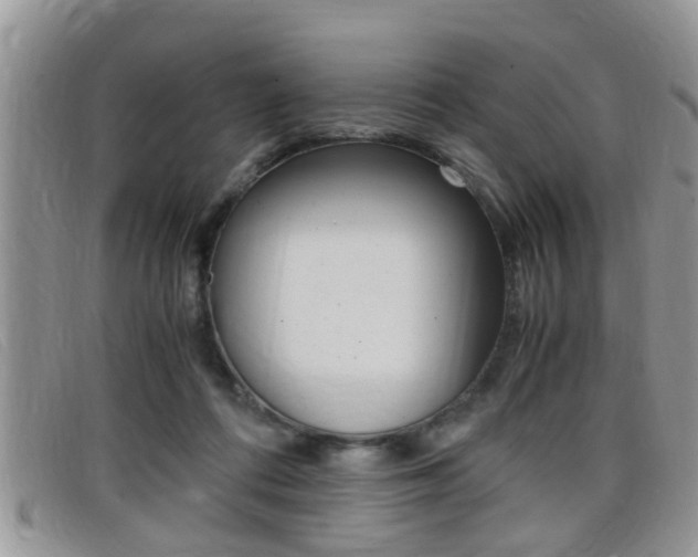 X0000099430312200805090732