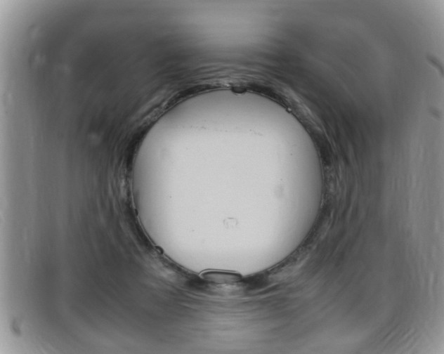 X0000099430313200805090732