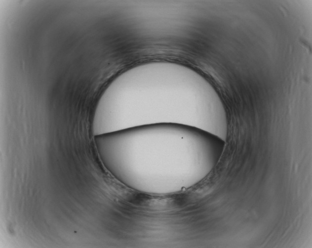 X0000099430314200805090732
