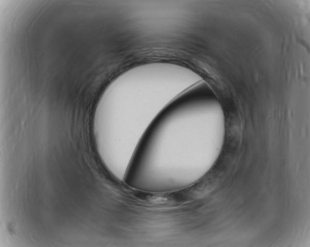 X0000099430315200805090732