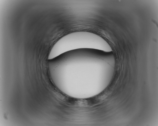 X0000099430317200805090732