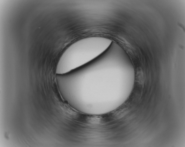 X0000099430318200805090732